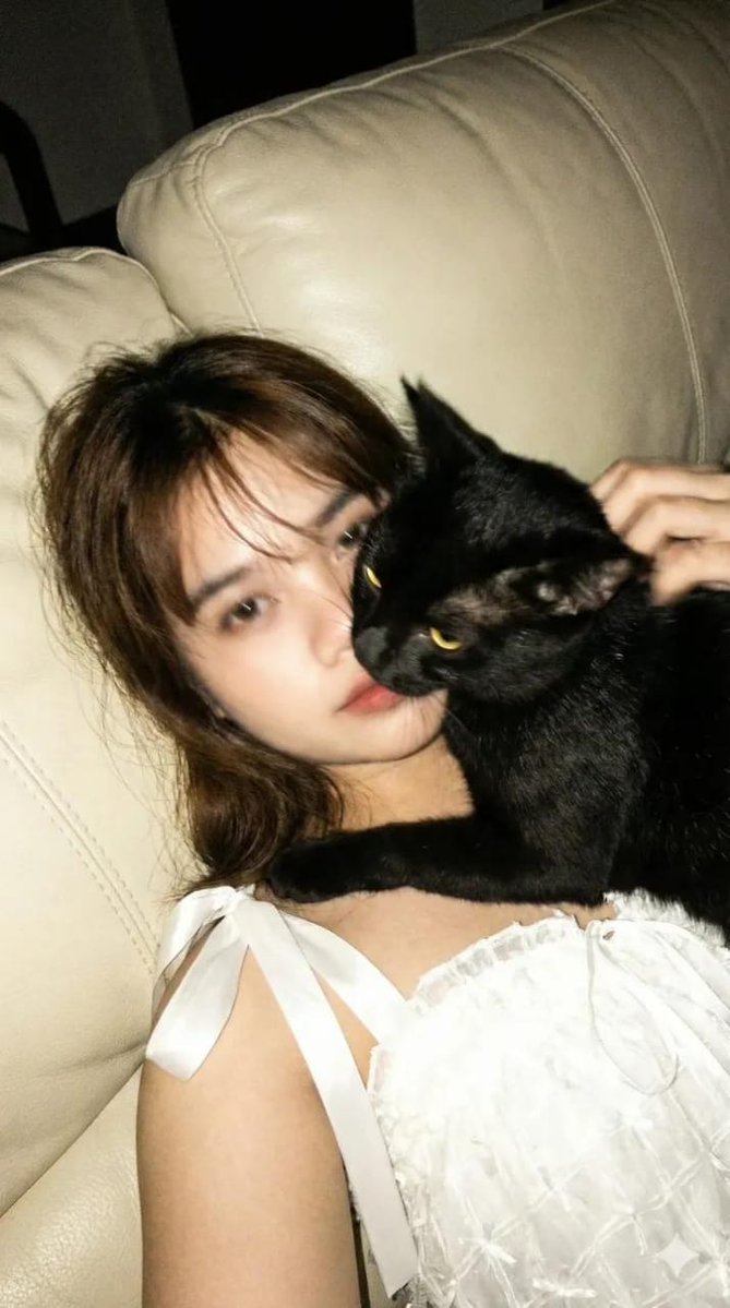 Low-Resolution Motion-Blurred Selfie with Cat 2