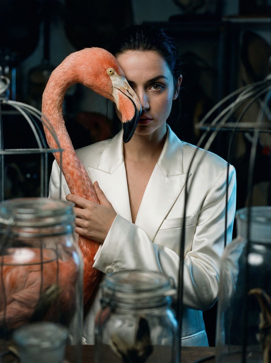 Surrealist Ornithology fashion editorial prompt 2
