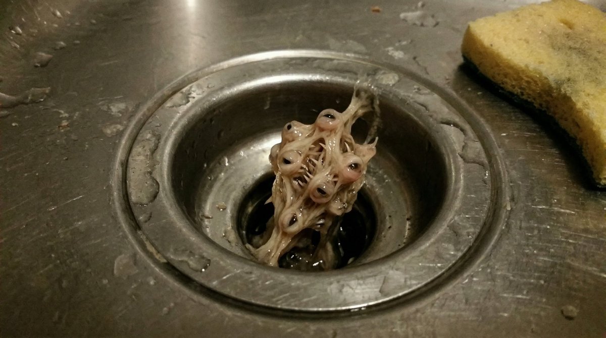 Oddly Terrifying Everyday Photo Prompt 4