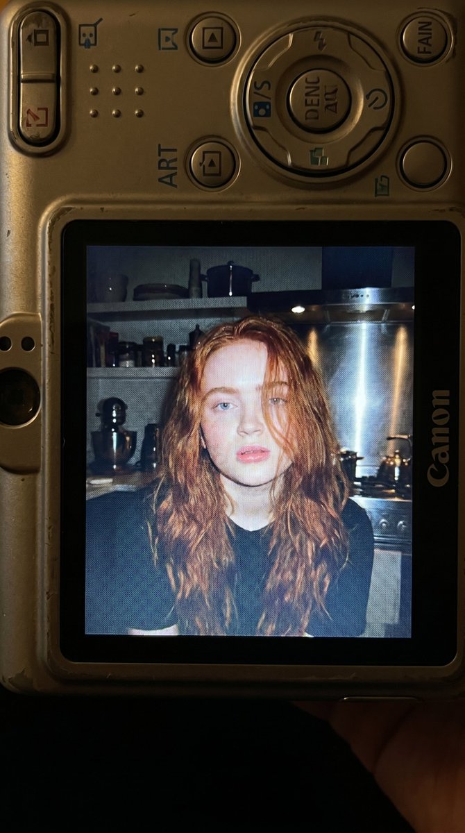 Nostalgic 2000s Digital Camera Snapshot 3
