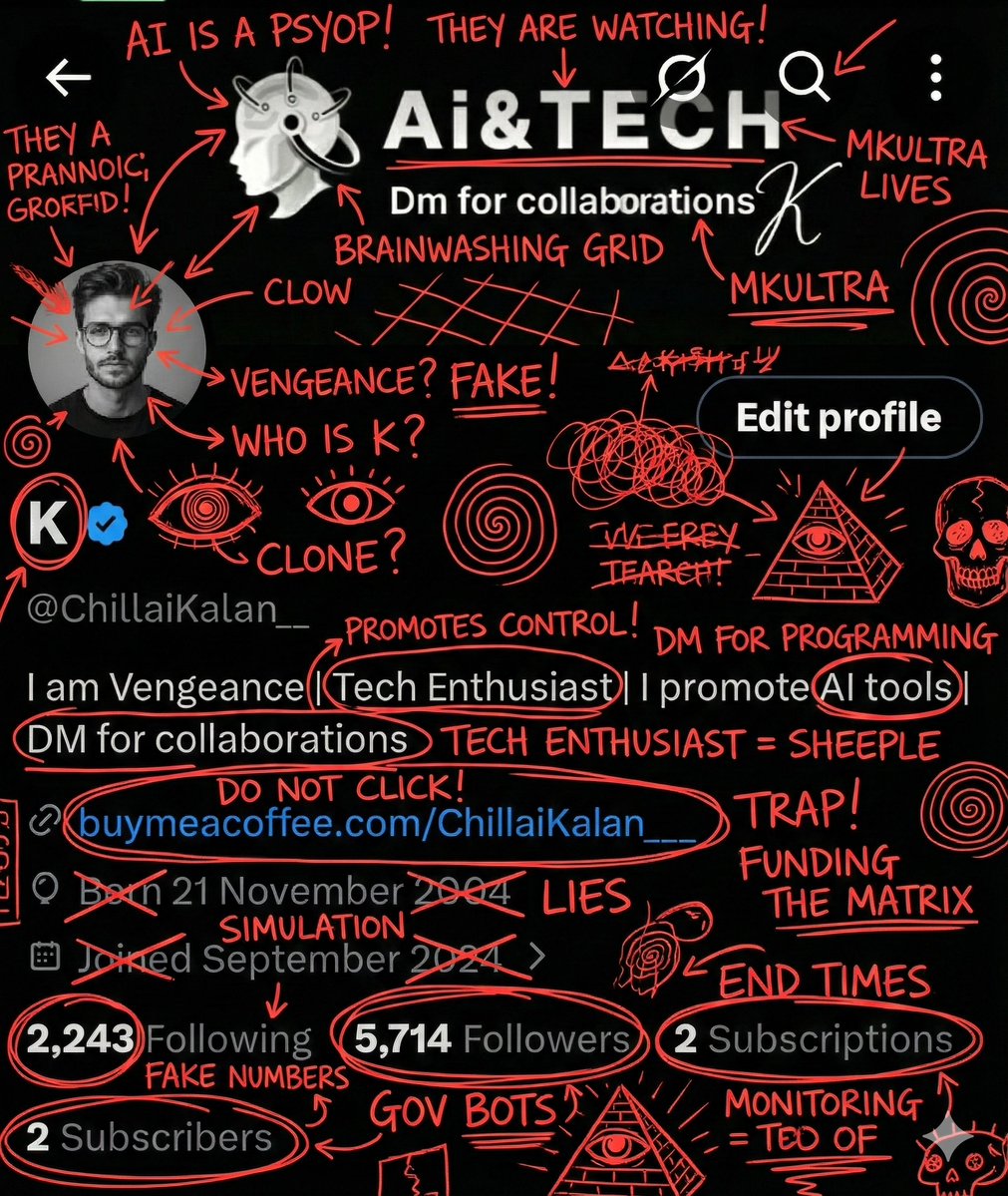 Image Overlay for 'Conspiracy Scribbles' Effect 1