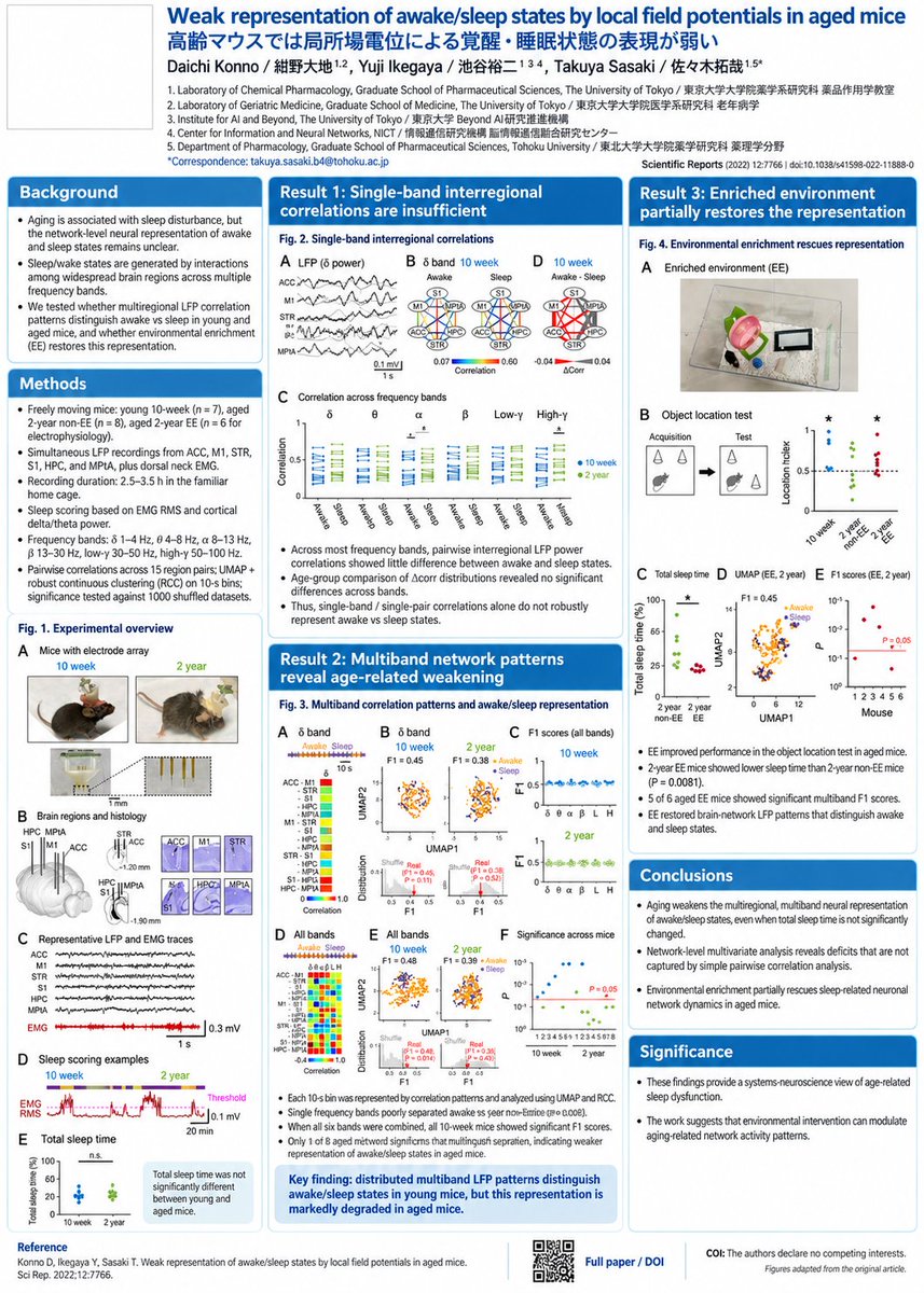 Infographic / Edu Visual - Research Paper Academic Poster 1