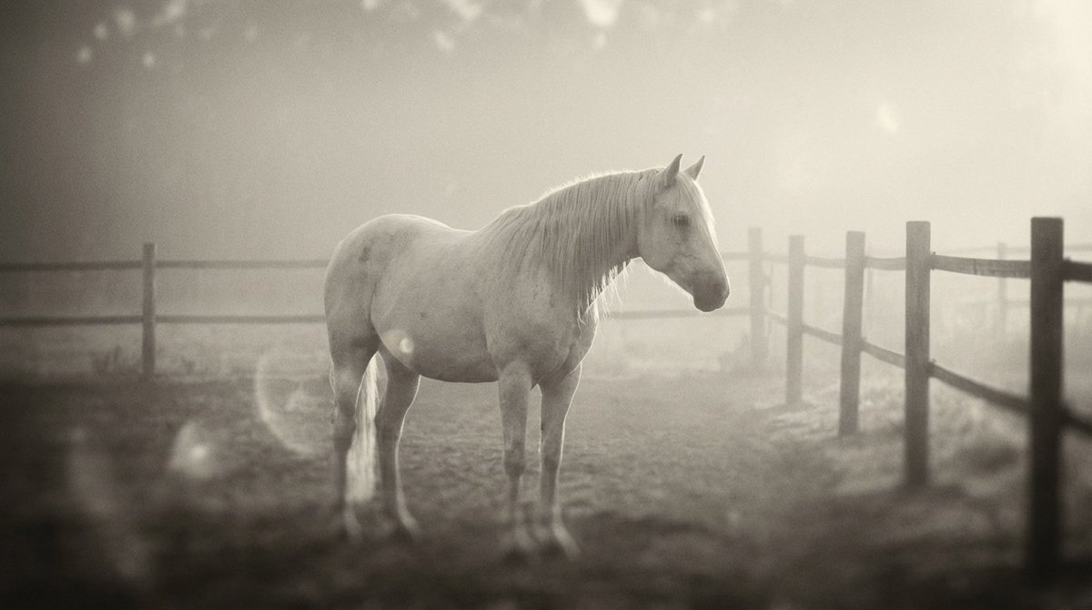 Monochromatic Ivory Cinematic Portrait 3