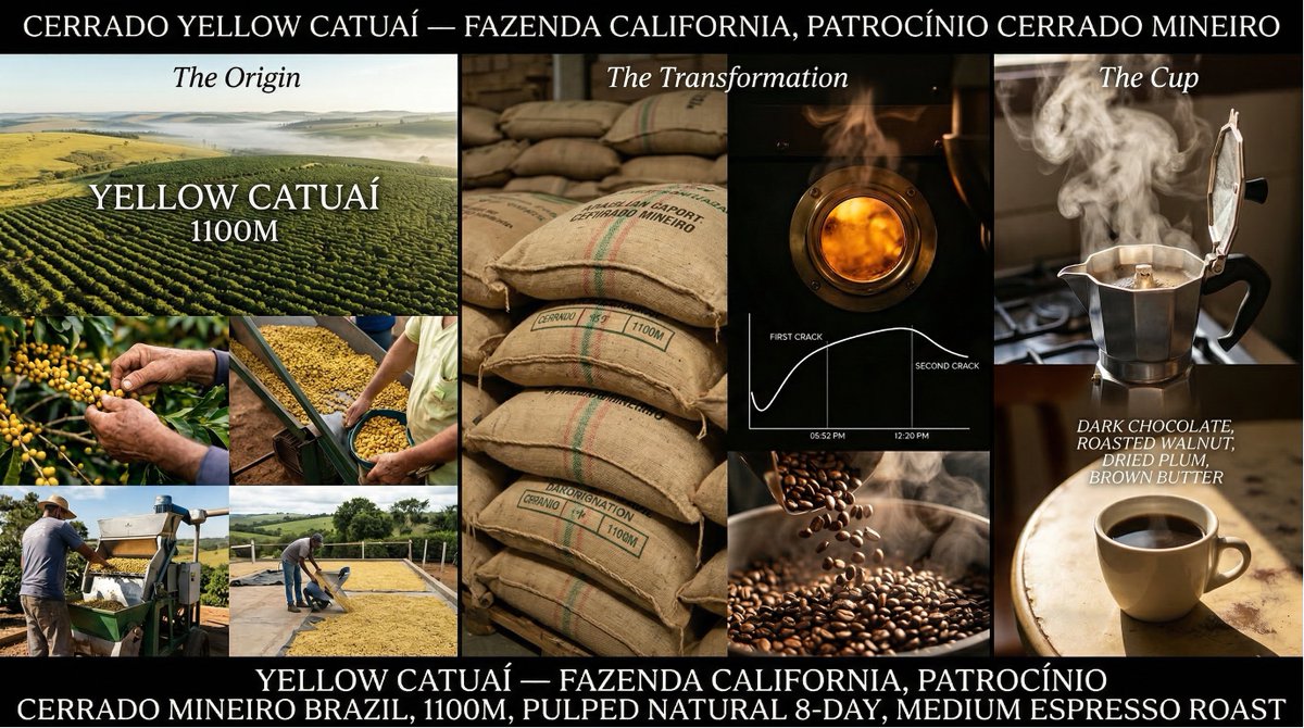 Coffee's Journey Board prompt for Nano Banana 2 3