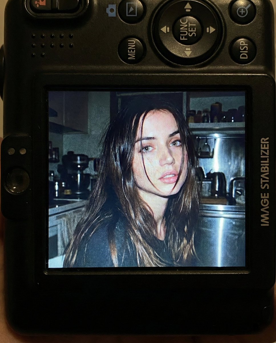 Nostalgic Early 2000s Digital Camera Portrait Prompt 1